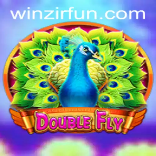 Exploring the Thrills of DoubleFly: A New Gaming Sensation with WinZir